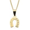 lucky charm necklace horseshoe gold