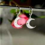 Moon Hoop Earrings Silver