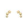 star gold earrings 10 K solid gold
